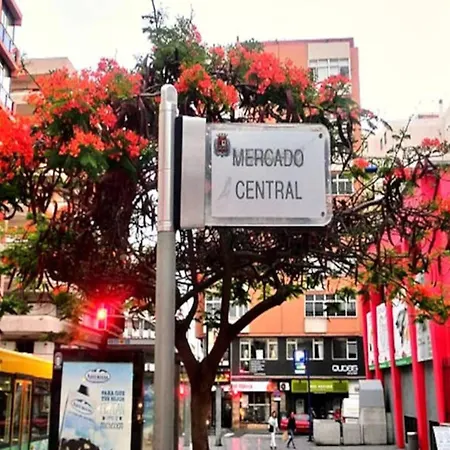 In Palmas De Gran Canaria Appartamento